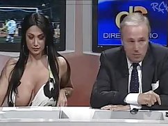 同性恋口交 美妙的动画猫卡通人